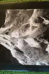 Summit: Vittorio Sella : mountaineer and photographer : the years 1879-1909 cover image