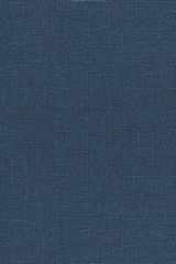 The Waves by Virginia Woolf Hardover Book cover image