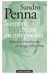 Siempre chicos en mis poesías cover image