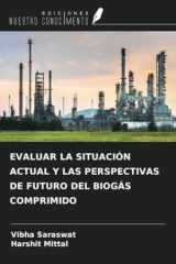 EVALUAR LA SITUACIÓN ACTUAL Y LAS PERSPECTIVAS DE FUTURO DEL BIOGÁS COMPRIMIDO (Spanish Edition) cover image
