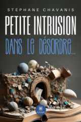 Petite intrusion dans le désordre cover image