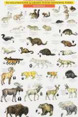 Yellowstone and Grand Teton National Parks Birds and Mammals cover image